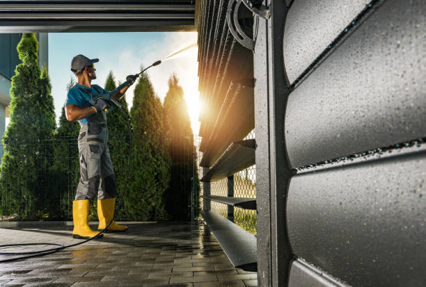 Best Building Exterior Washing  in Fowler, MI
